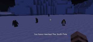Reaching The South Pole
