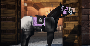 Racing Tack