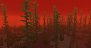 19537955-minecraft-pm_l.webp