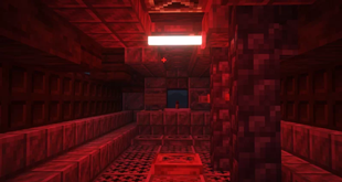 19538638-minecraft-singleplayer-pm_l.webp