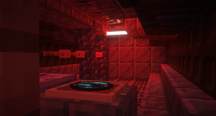 19538653-minecraft-singleplayer-pm_l.webp