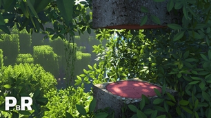 Mangrove Tree Chop
