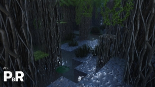 Mangrove Biome