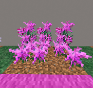 ChimeranPrimrose Screenshot 2026-02-04 221325.png