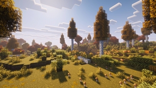 Vanilla+ Lightweight