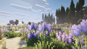 Vanilla+ Lightweight