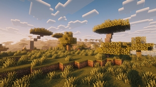 Vanilla+ Lightweight