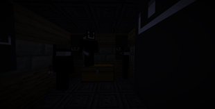 entity