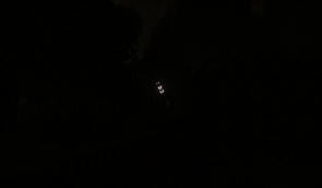 2026-02-07_13.49.02.png