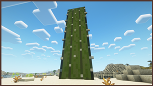 Cactus