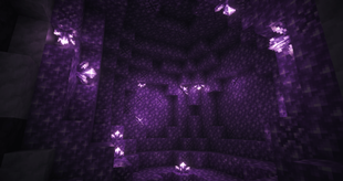 2026-02-07_14.11.57.png