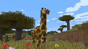 2026-02-08_03.23.57.png
