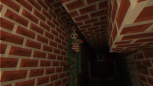 stare.jpg
