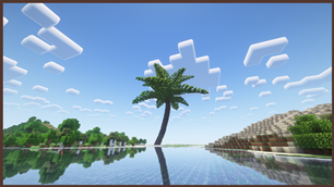 Palm Tree