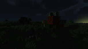 Apple Trees