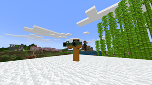 Dual Wielding