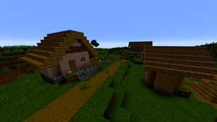 Village