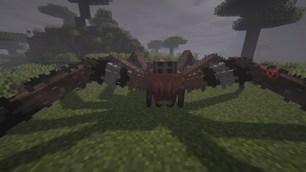 Arachnophobia ( 2 )