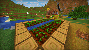 Farm in the Village