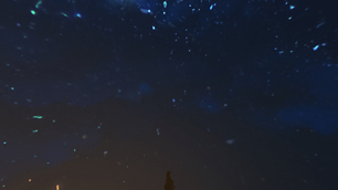 2026-02-11_12.58.38.png