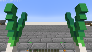 First person dual wield
