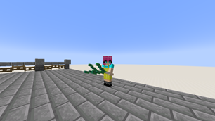 3rd person dual wield