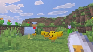 Baby_chickens_near_their_parent.jpg