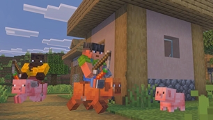 Baby_pig_in_a_village.jpg
