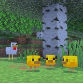 Baby_chickens_in_a_forest.jpg