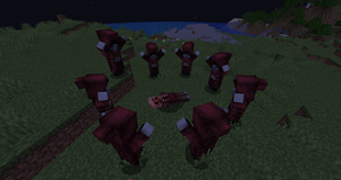 Cultists