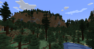 New big trees inside taiga biome