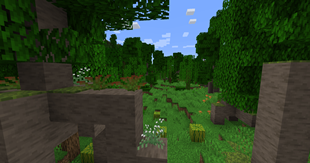 Jungle new plants