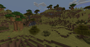 New big grass, bushes & baobab trees inside savanna
