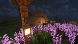 Small Cozy House - Fox