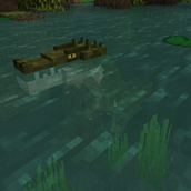 mangrove swamp