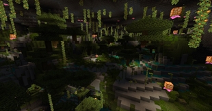 underground wetlands.jpg