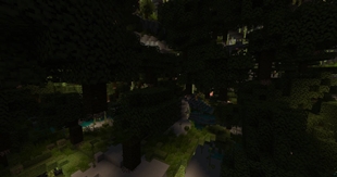 dense underground wetlands.jpg