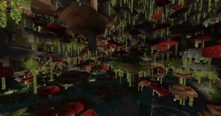 fungal wetlands.jpg