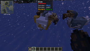 White Dodo