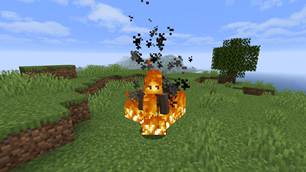 Fire Immunity