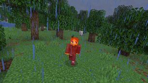 Rain Damage