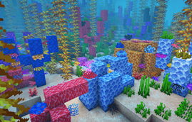 Coral Reef Biome °:•.🐠*.•🪸.•:°