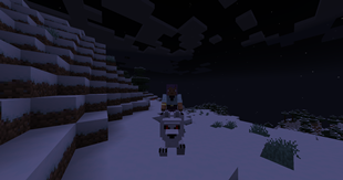 Midnight Ride