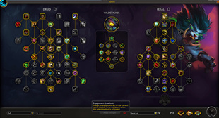 equipmnent loadouts2.png