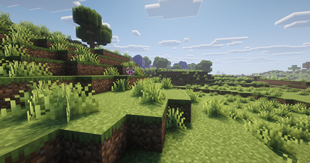 Landscapes, Biomes