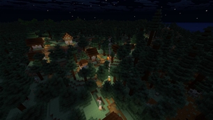 Village At Night.jpg