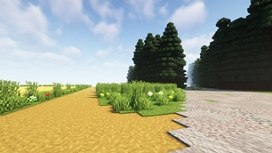 2026-02-13_20_quality_99 (1).jpg