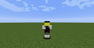 Guard