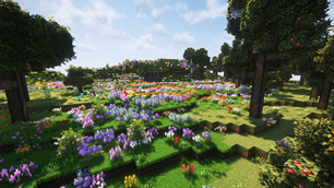 Meadow.png