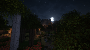 NIght in the Village.png